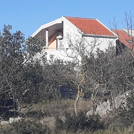 Villa Palfi Jezera Exteriör bild